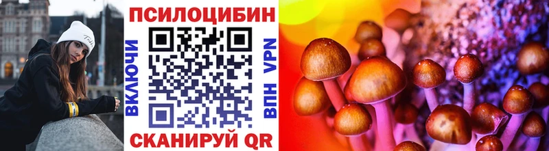 Псилоцибиновые грибы мицелий  shop состав  Оха 